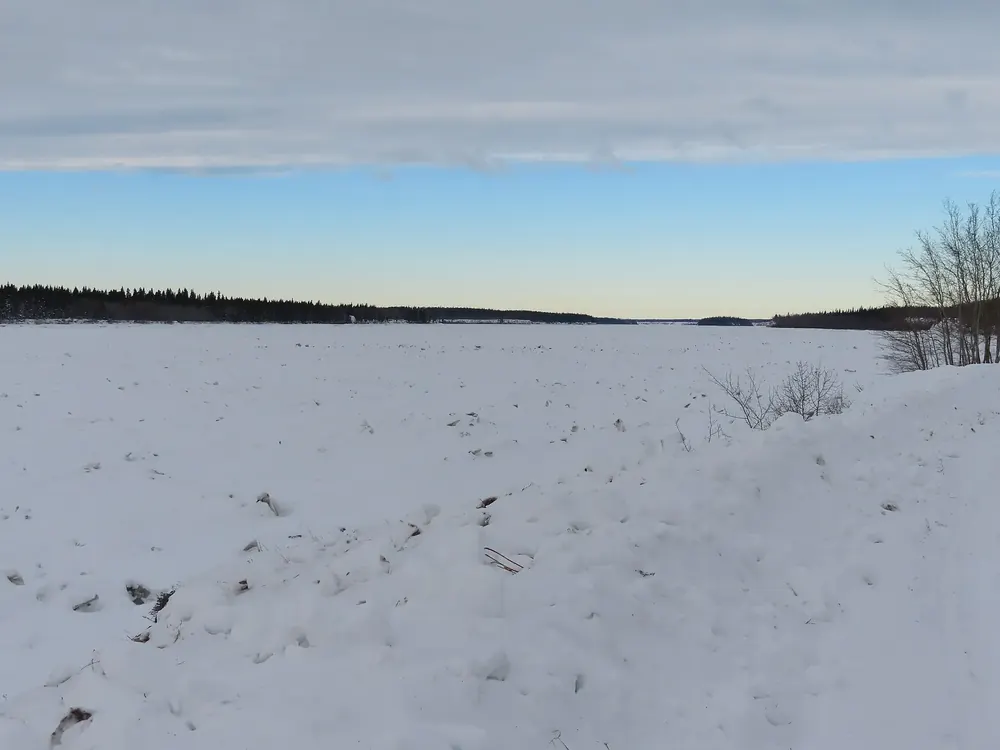The Peace River at Peace Point in Wood Buffalo National Park in winter: a frozen, snow-covered river between low, forested banks