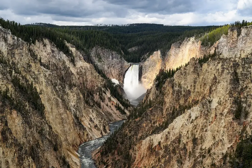 View from Artist Point in Yellowstone National Park of the Lower Falls in the deep, yellowish canyon of the Yellowstone River