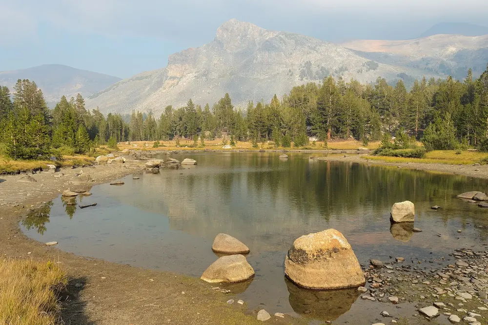 Small mountain lake with boulders near Tioga Pass, with conifer forest and bare mountains behind