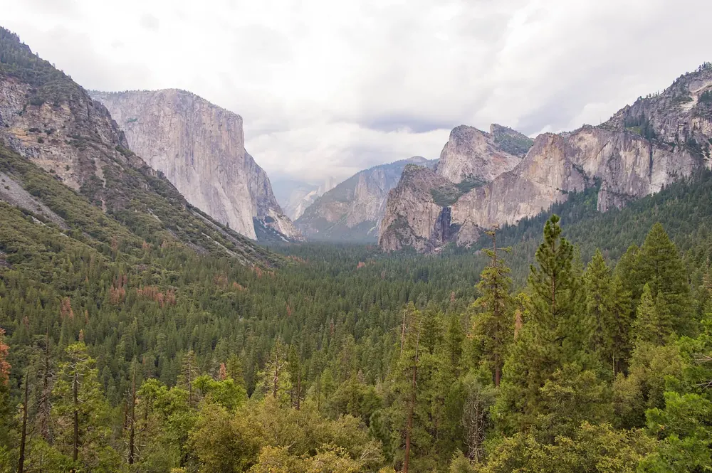 Tunnel View in Yosemite National Park: looking over the forested Yosemite Valley to El Capitan, Half Dome and the Cathedral Rocks