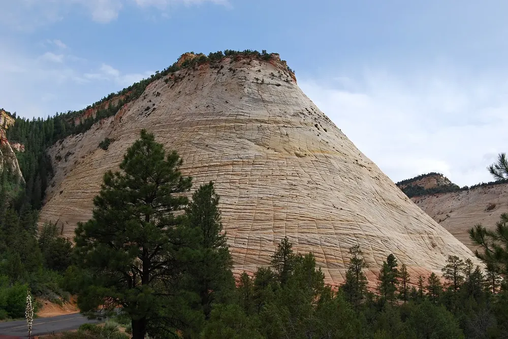 Checkerboard Mesa in Zion National Park: a cone-shaped pale sandstone mountain with a cross-hatched crack pattern above pine forest.