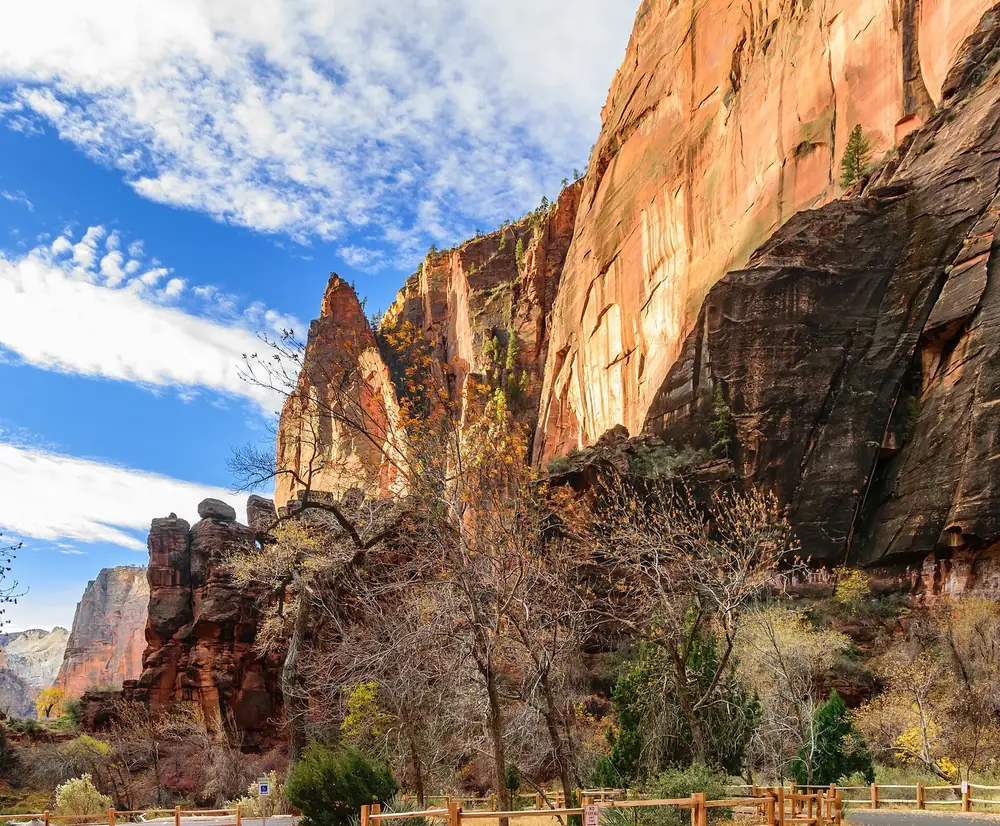 Temple of Sinawava in Zion National Park: high reddish rock walls at the end of the park road, with trees and a wooden railing in front