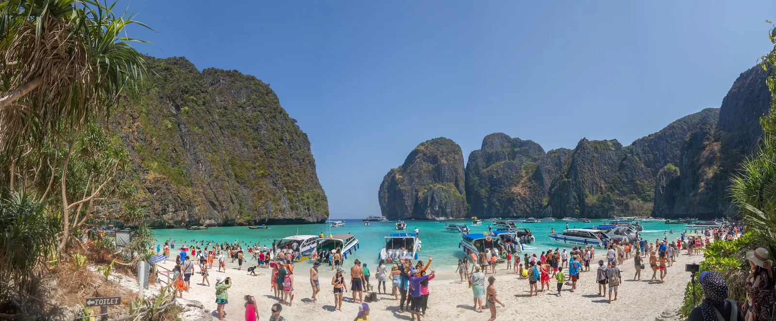 Panorama of Maya Bay in April 2016: people crowded on the beach and many boats in front of the limestone cliffs