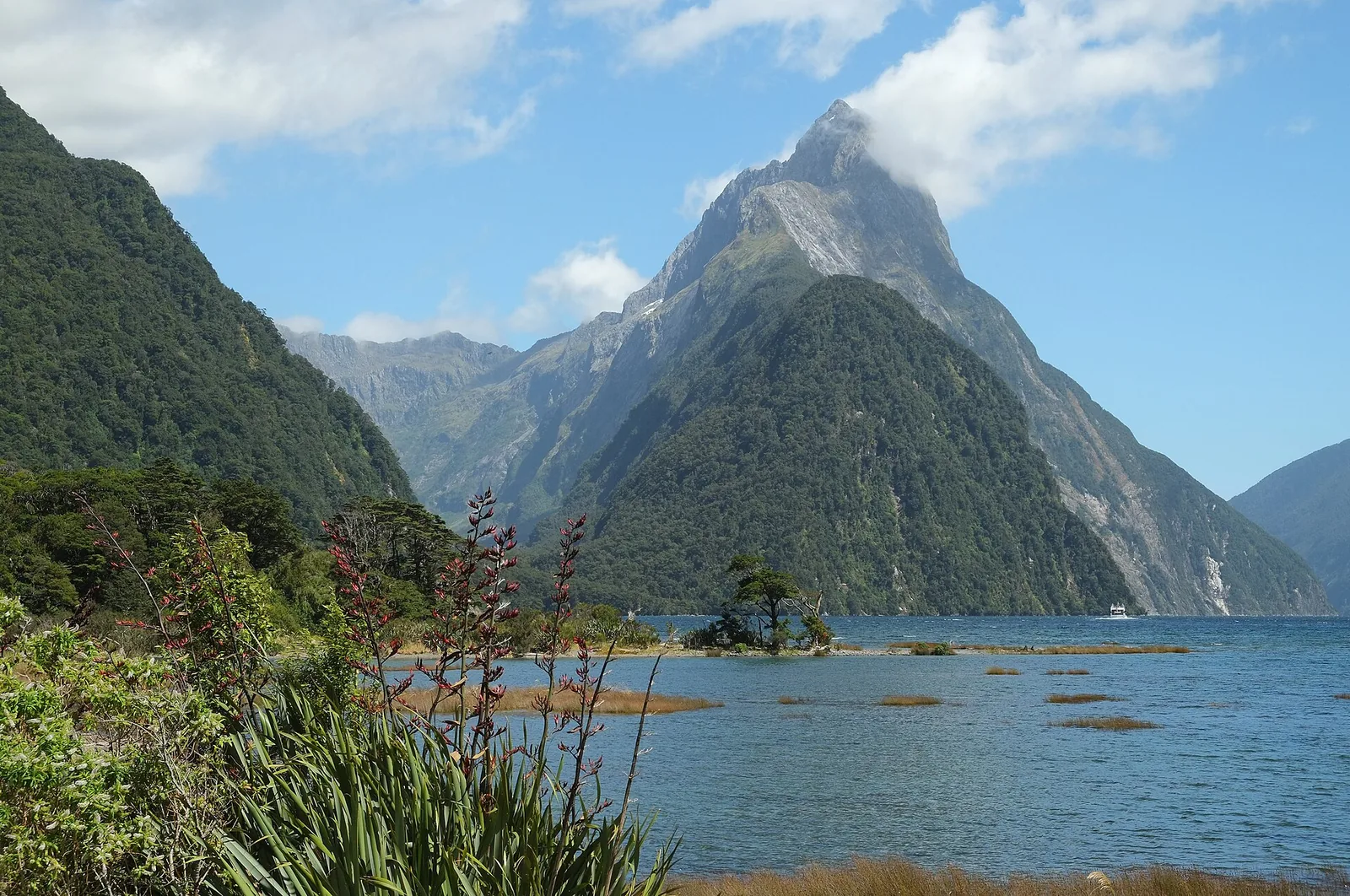 Mitre Peak above Milford Sound with flowering flax on the shore in front and a cloud on the summit against a blue sky