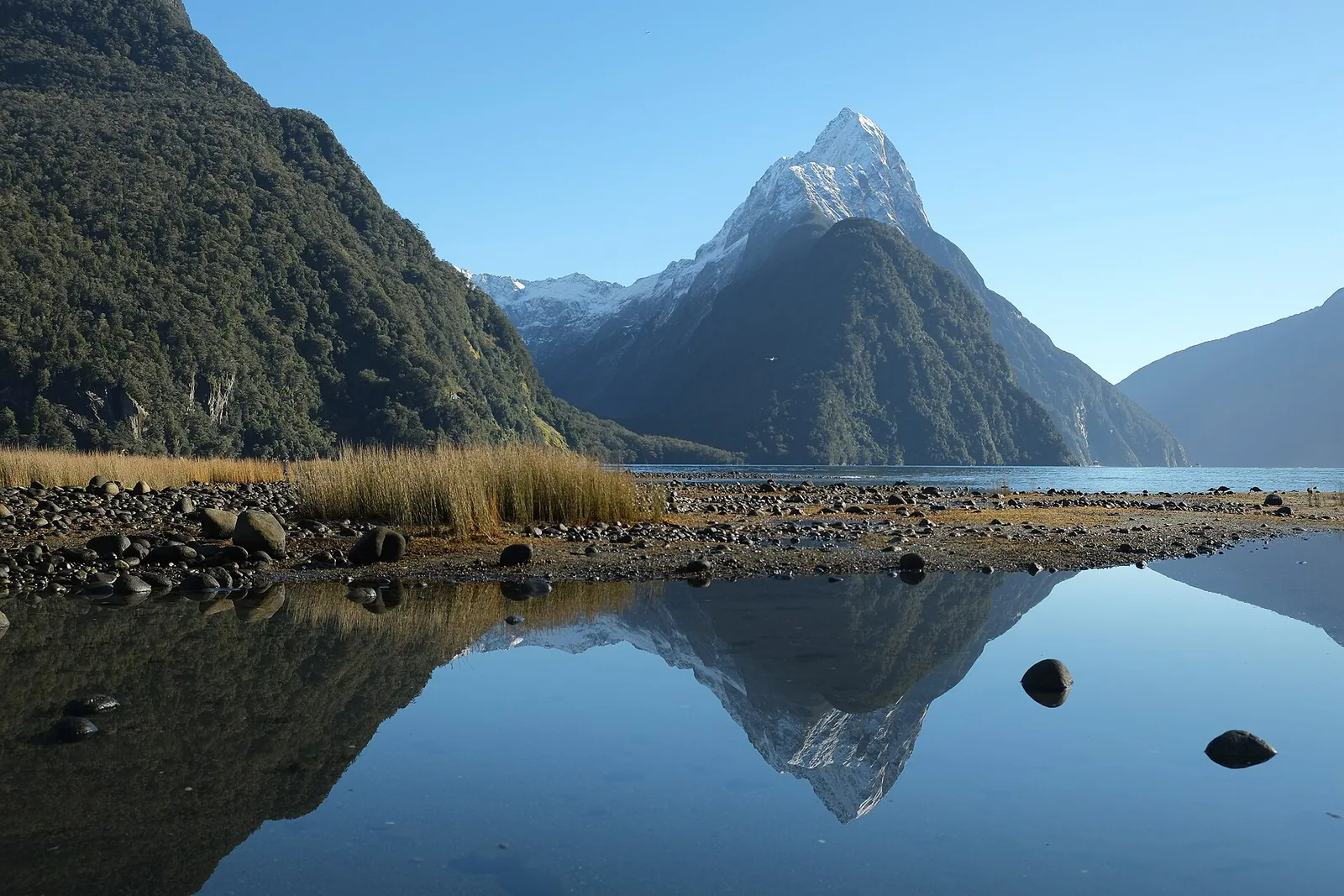 Snow-capped Mitre Peak at Milford Sound reflected in the water on a calm winter's day, with a gravel shore and tussock in front