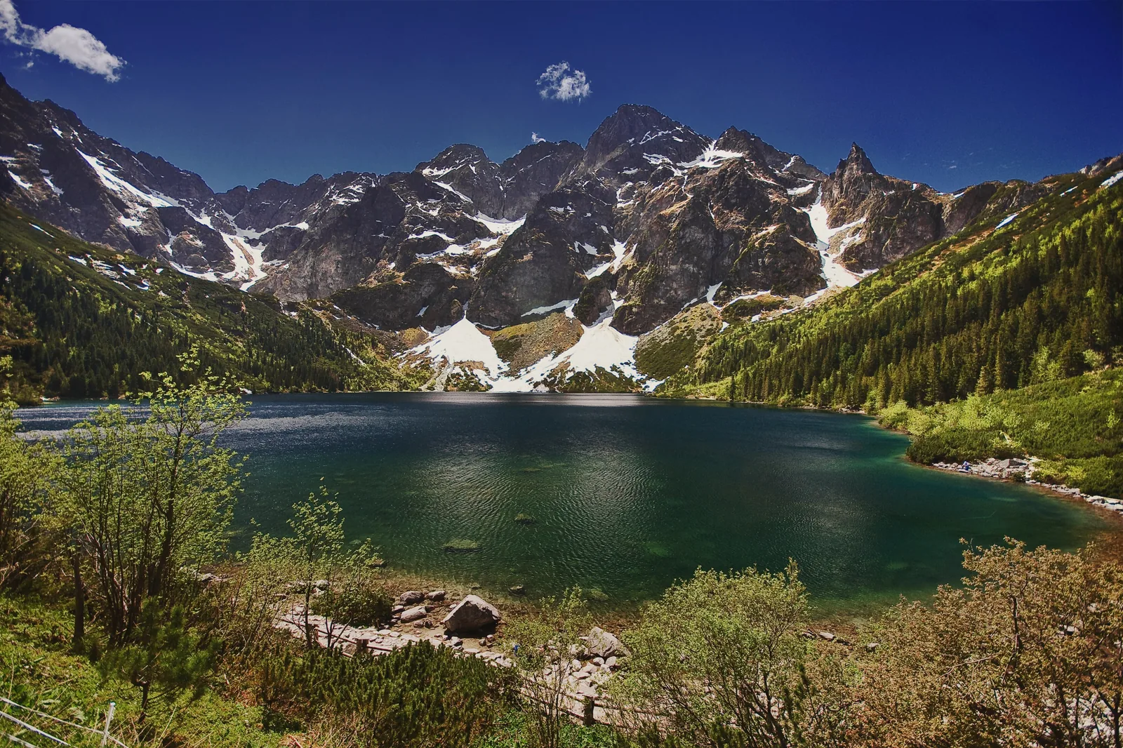 Morskie Oko from above, with the Mięguszowieckie Szczyty and snowfields behind and dwarf pines in the foreground
