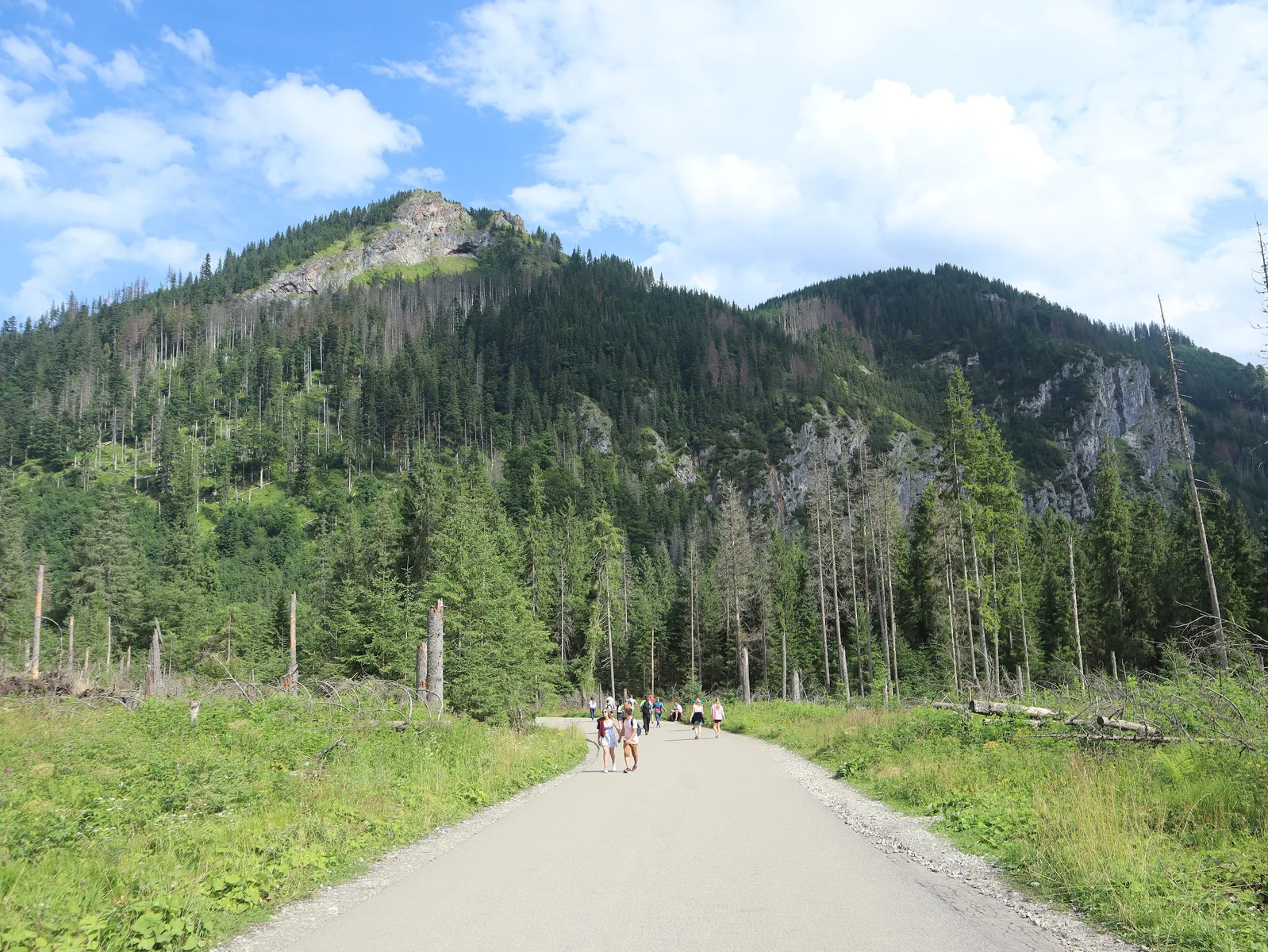 The paved road to Morskie Oko between Palenica Białczańska and Wodogrzmoty Mickiewicza, forest on both sides, hikers in the distance