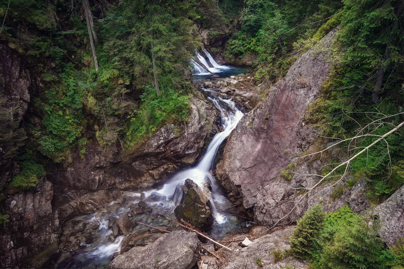Wodogrzmoty Mickiewicza on the road to Morskie Oko: a waterfall over rock steps between spruces