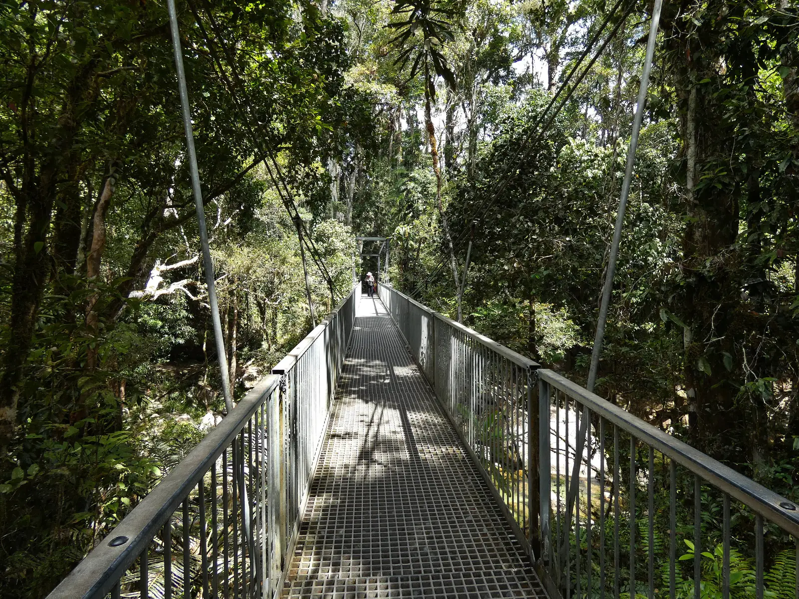 The suspension bridge over Rex Creek in Mossman Gorge in Daintree National Park, a mesh walkway between steel cables in the middle of the rainforest