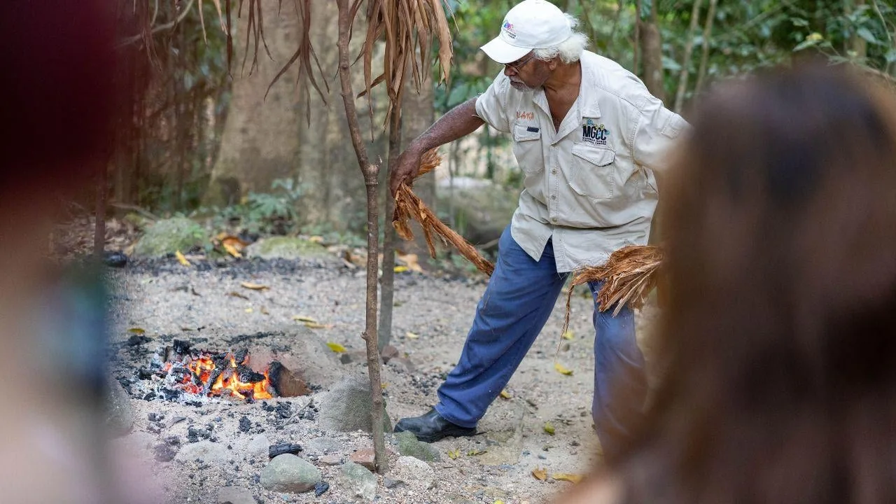 Offer photo: From Port Douglas: Mossman Gorge with a smoking ceremony, the Daintree River and rainforest