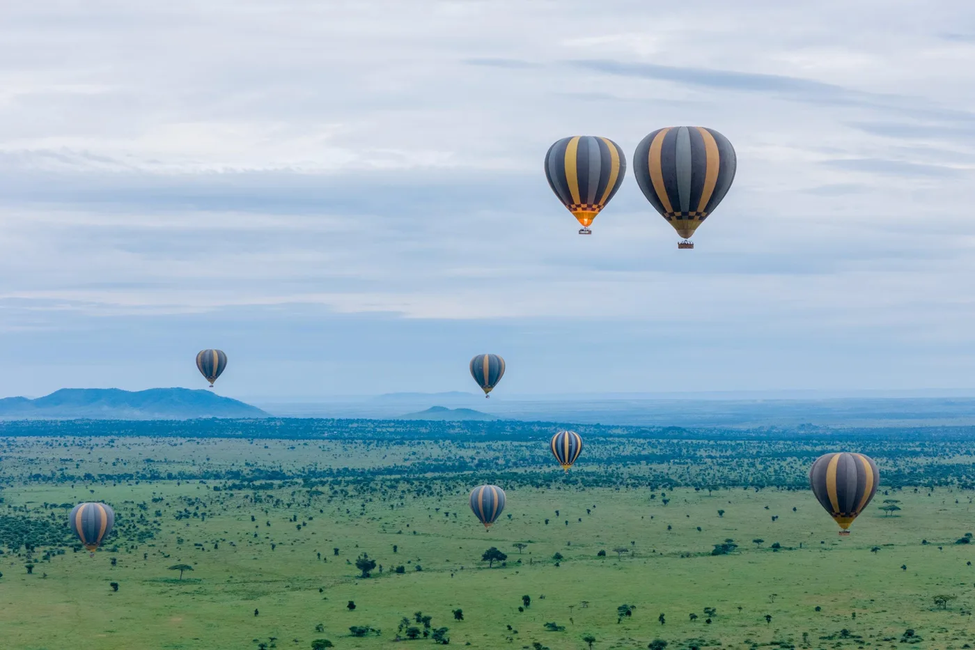 Offer photo: Balloon Safari & Bush Breakfast, Ndutu launch option