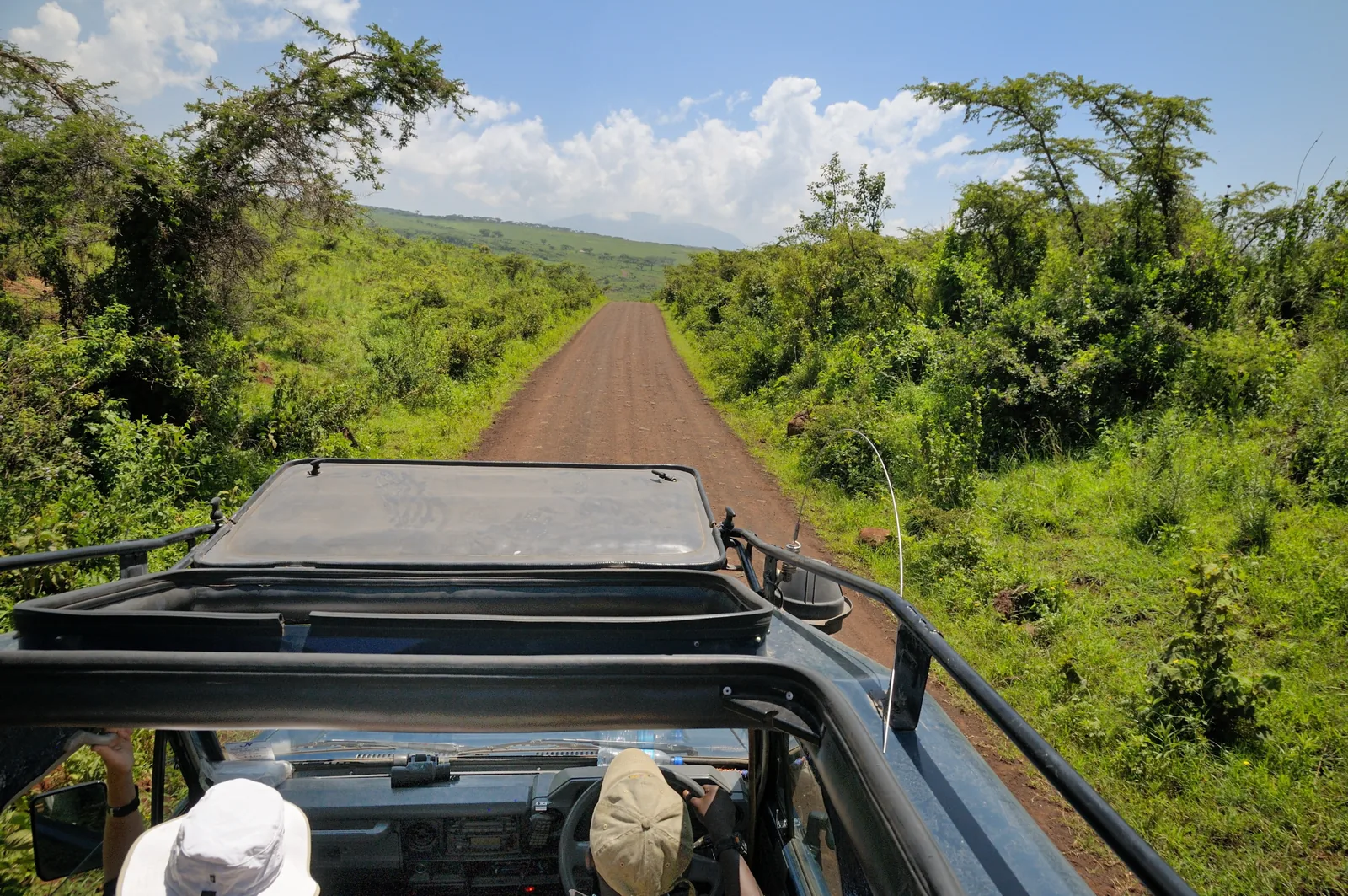 From the open roof of a safari vehicle: a red dirt track through green bush in the conservation area