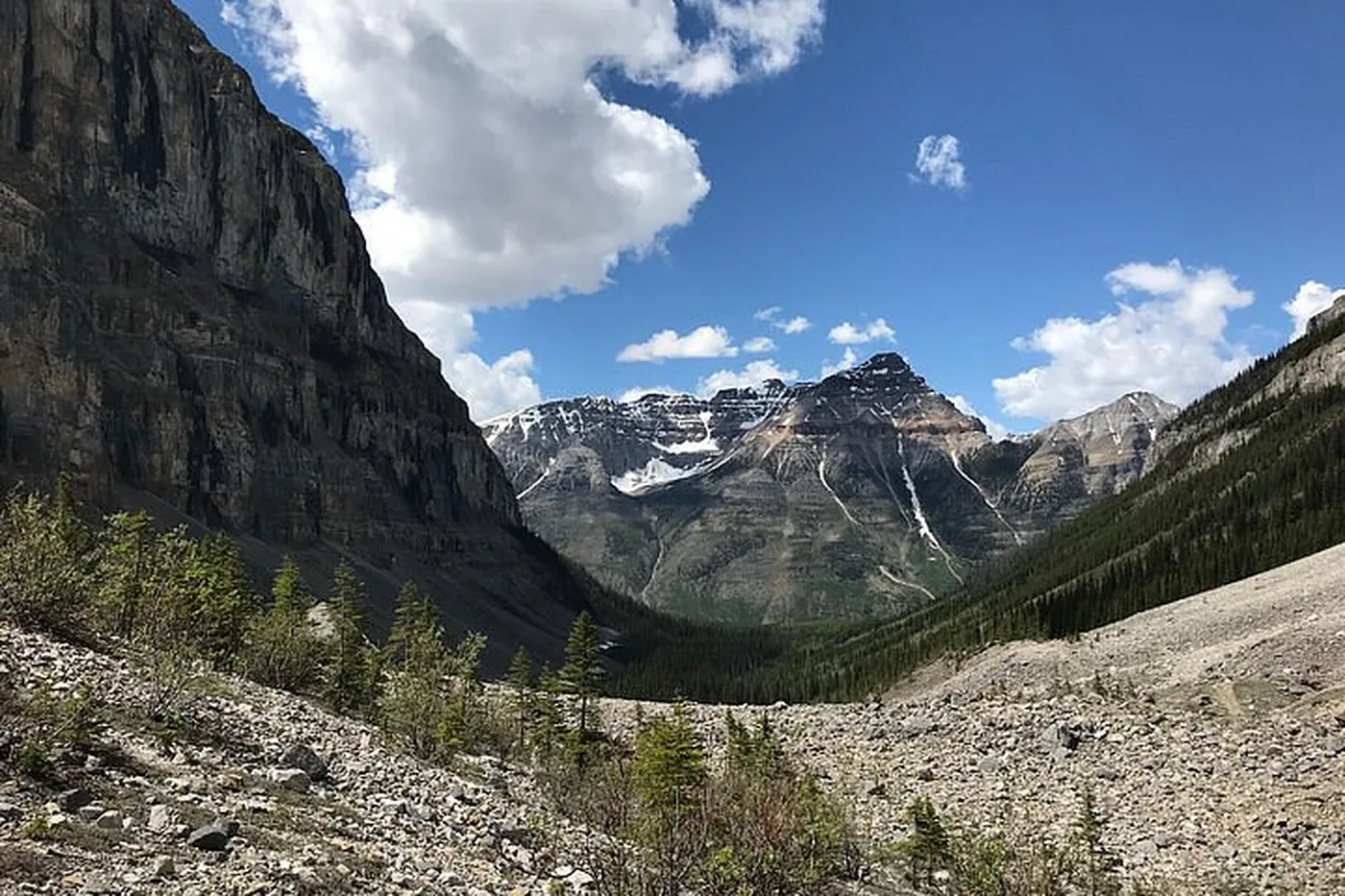 Offer photo: Guided Hike into the Stanley Glacier Valley