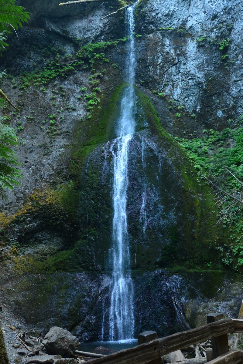 Marymere Falls in Olympic National Park dropping as a narrow veil over a mossy rock face near Lake Crescent