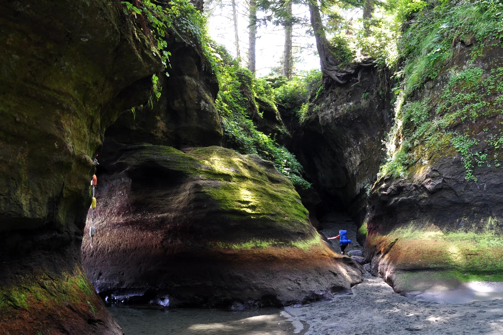 Two tiny hikers on the West Coast Trail in Pacific Rim National Park Reserve, in front of an eroded sandstone formation at Owen Point, dense coastal rainforest above