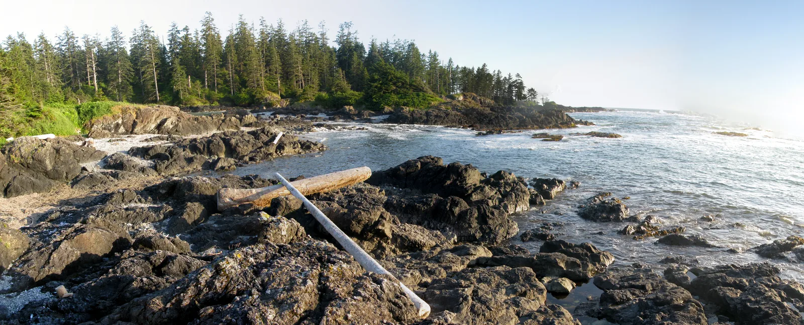 Wide view over the rocky shore at Wickaninnish Beach in Pacific Rim National Park Reserve, with washed-up drift logs, coastal forest and the open sea behind