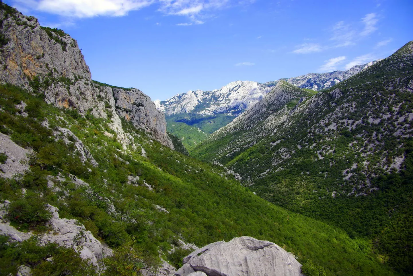 View through the wooded canyon in Paklenica National Park to the pale limestone peaks of the Velebit