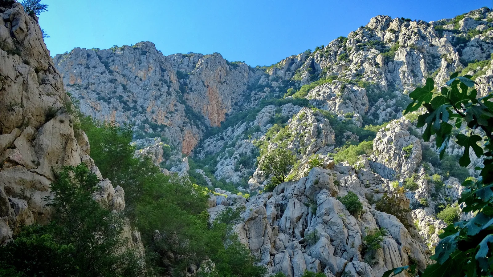 Pale rock walls of the Paklenica canyon in Paklenica National Park, framed by trees.