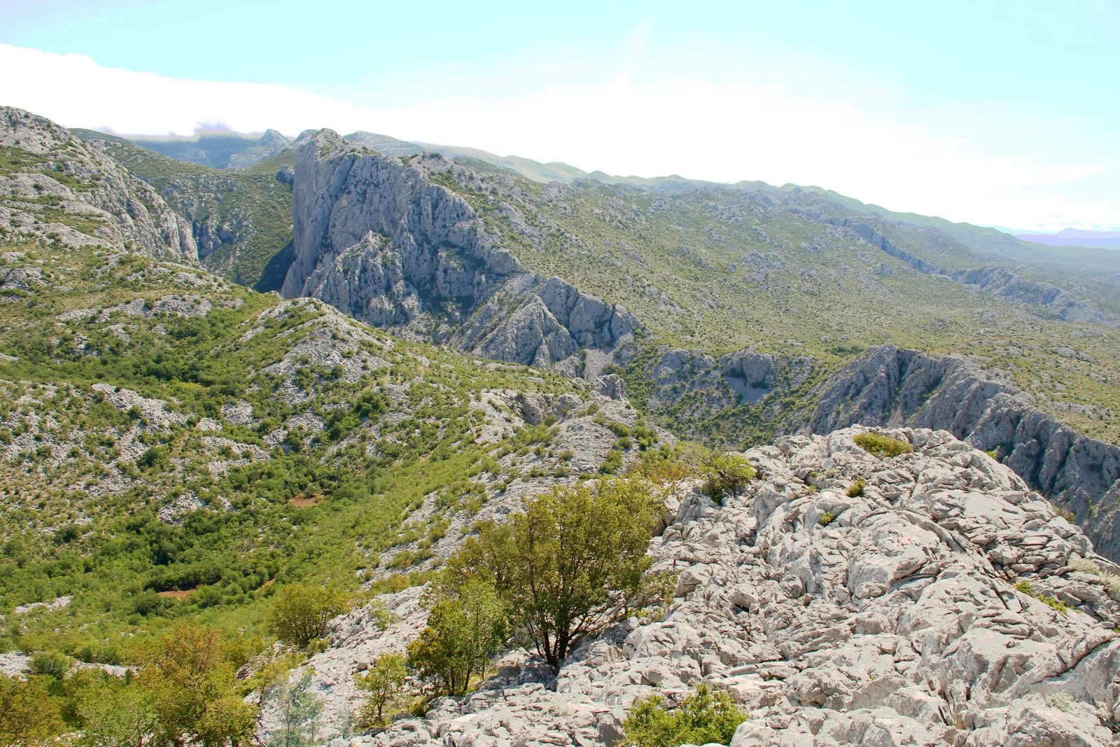 View over the wooded karst ridges of Paklenica National Park between Mala and Velika Paklenica.