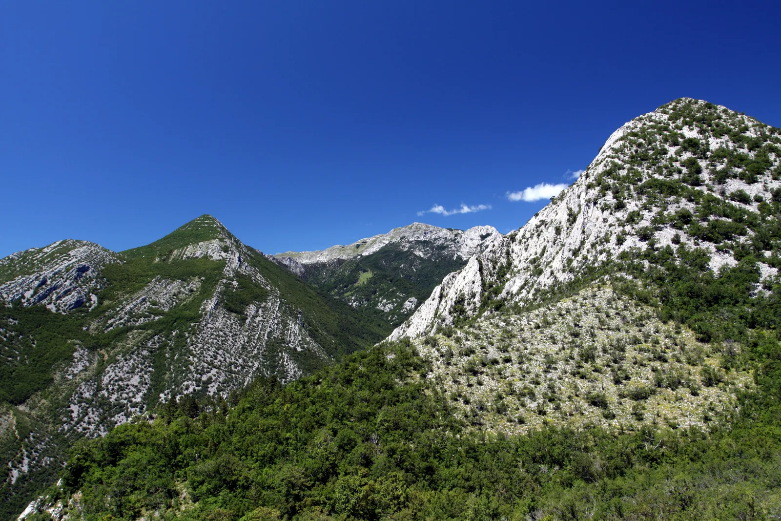 Wooded slopes below a rocky summit in Paklenica National Park
