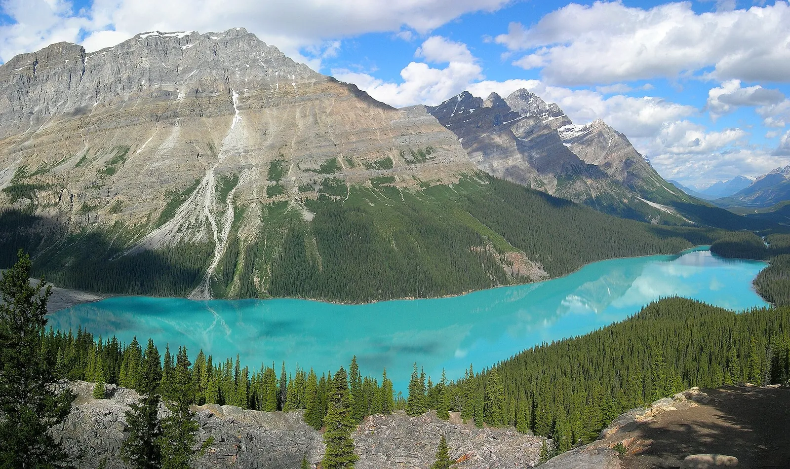 Peyto Lake in Banff National Park below a pale limestone wall streaked with avalanche gullies, conifer forest all around.