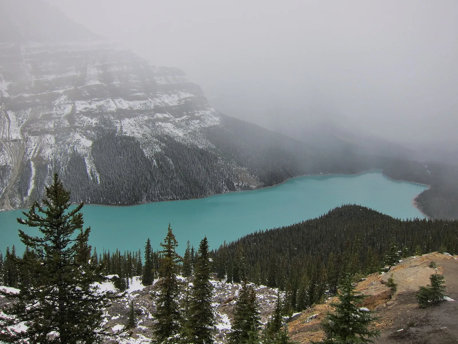Fog and fresh snow over Peyto Lake in Banff National Park, the lake glowing turquoise below the shrouded mountains.