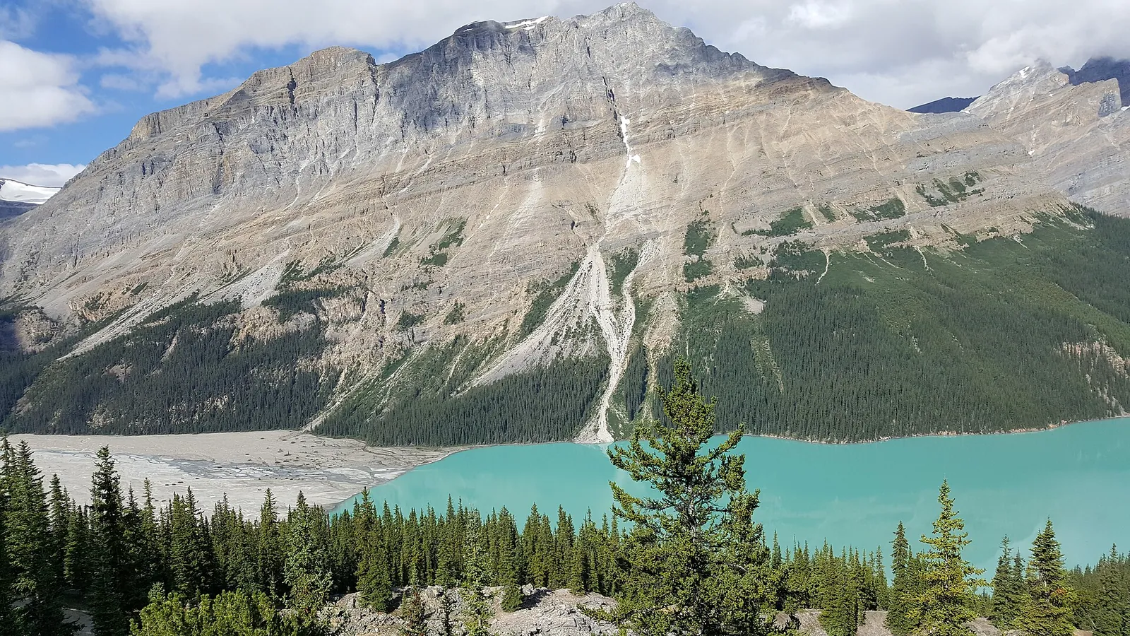 The gravel flats at the south end of Peyto Lake in Banff National Park, where the glacial creek carries milky water into the lake.
