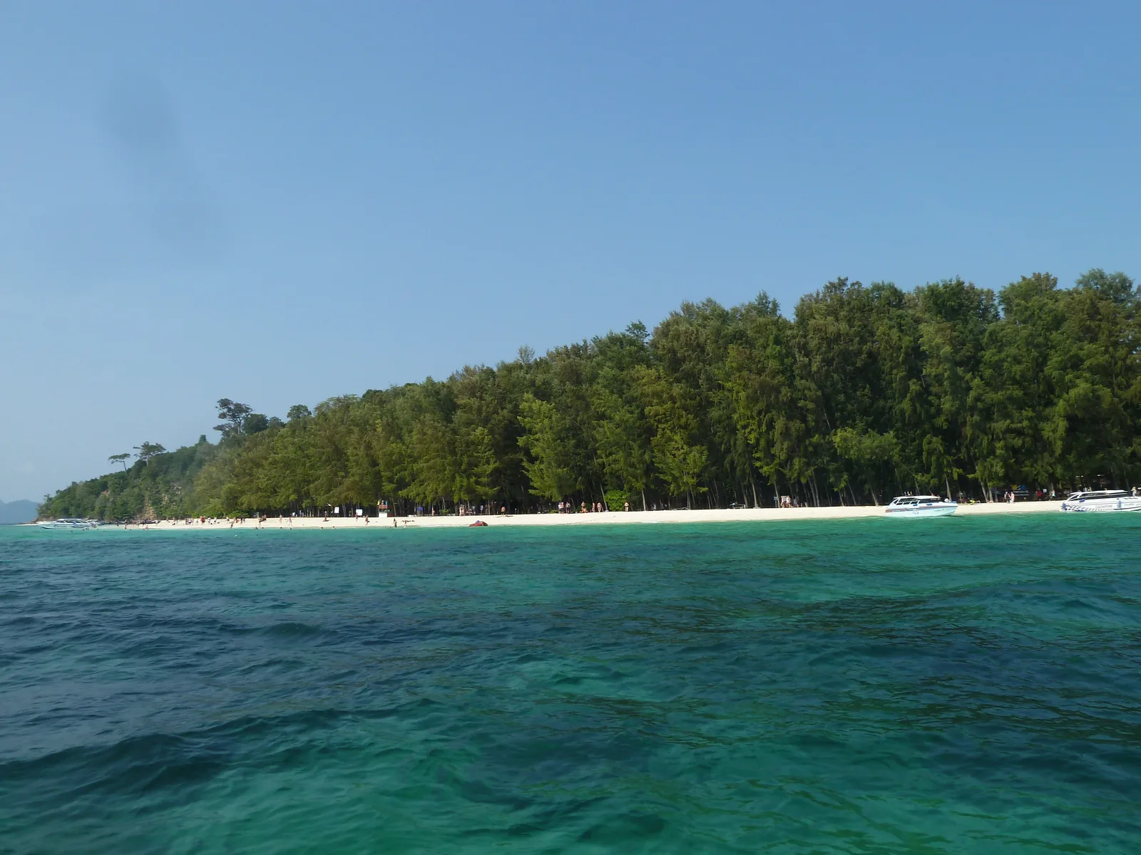 The flat Bamboo Island in Phi Phi National Park with a white sandy beach and dense trees above turquoise water