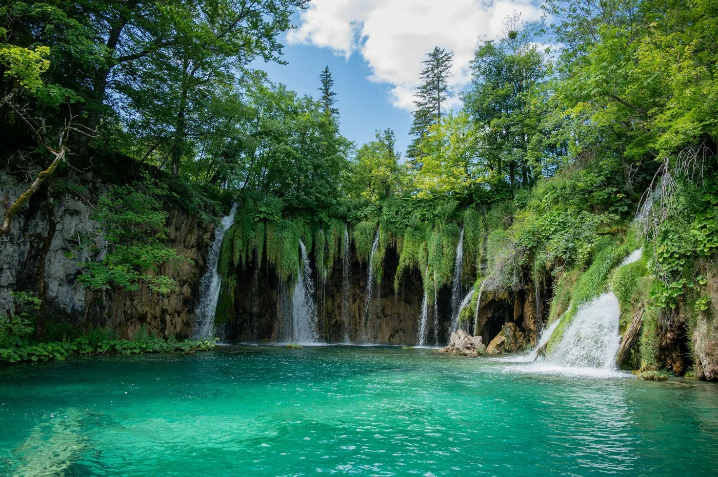 Offer photo: Plitvice early in the morning: guided tour from Entrance 1 at opening time