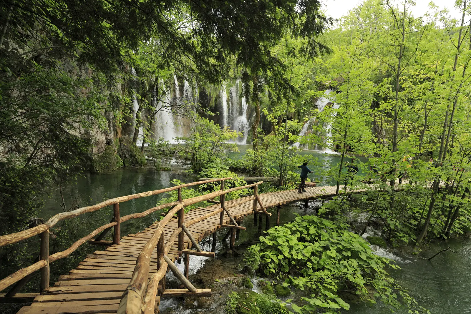A wooden boardwalk with a railing leads through light green deciduous woodland towards the white waterfalls of Galovački buk in Plitvice Lakes National Park