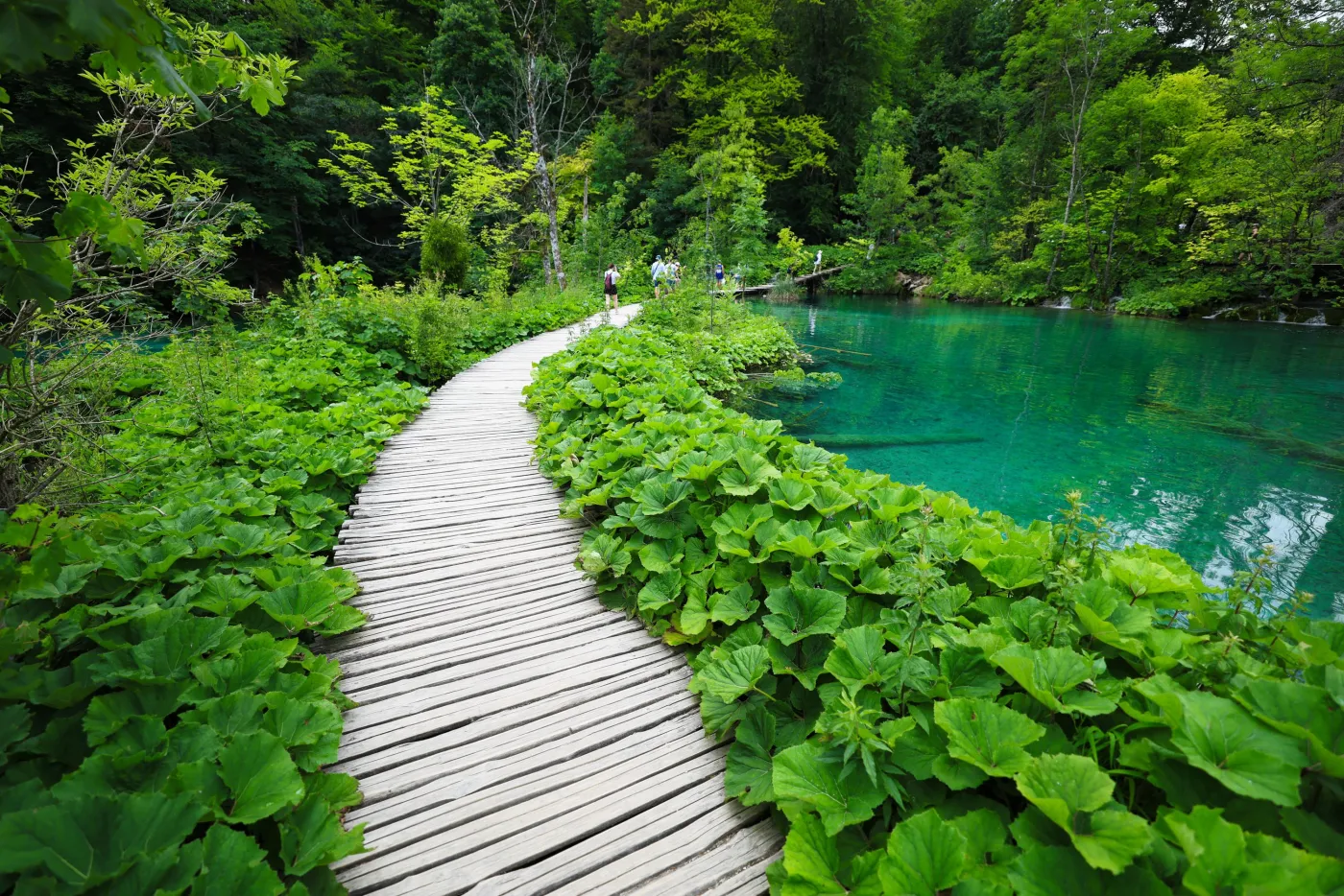 Offer photo: From Zadar: Plitvice Lakes tour with boat and train
