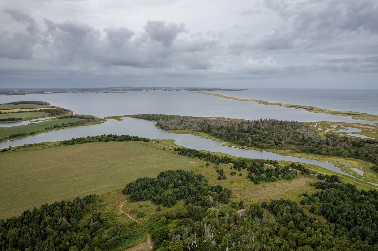 Aerial view over the western section of Prince Edward Island National Park: spruce forest and meadows, behind them branching channels, a shallow bay and a long sand spit in front of the open sea.
