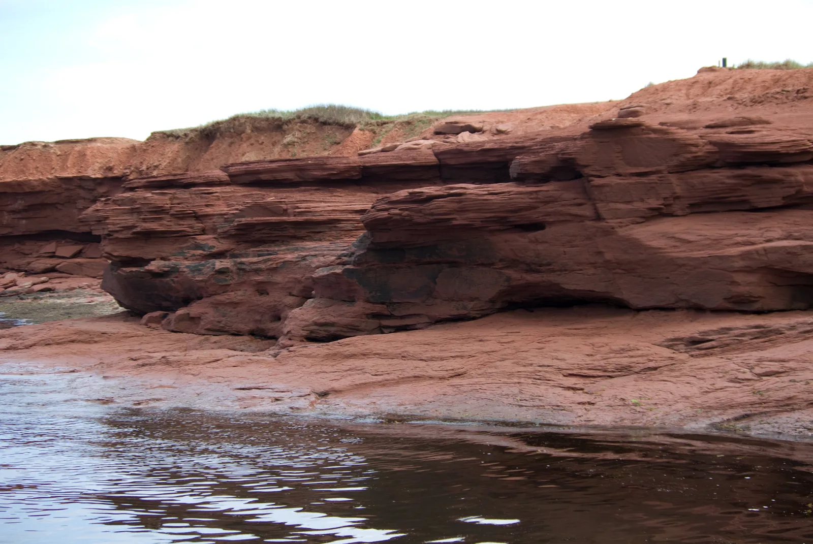 Red, layered sandstone cliffs with washed-out hollows stand in shallow water in Prince Edward Island National Park, a narrow green edge of grass on top.