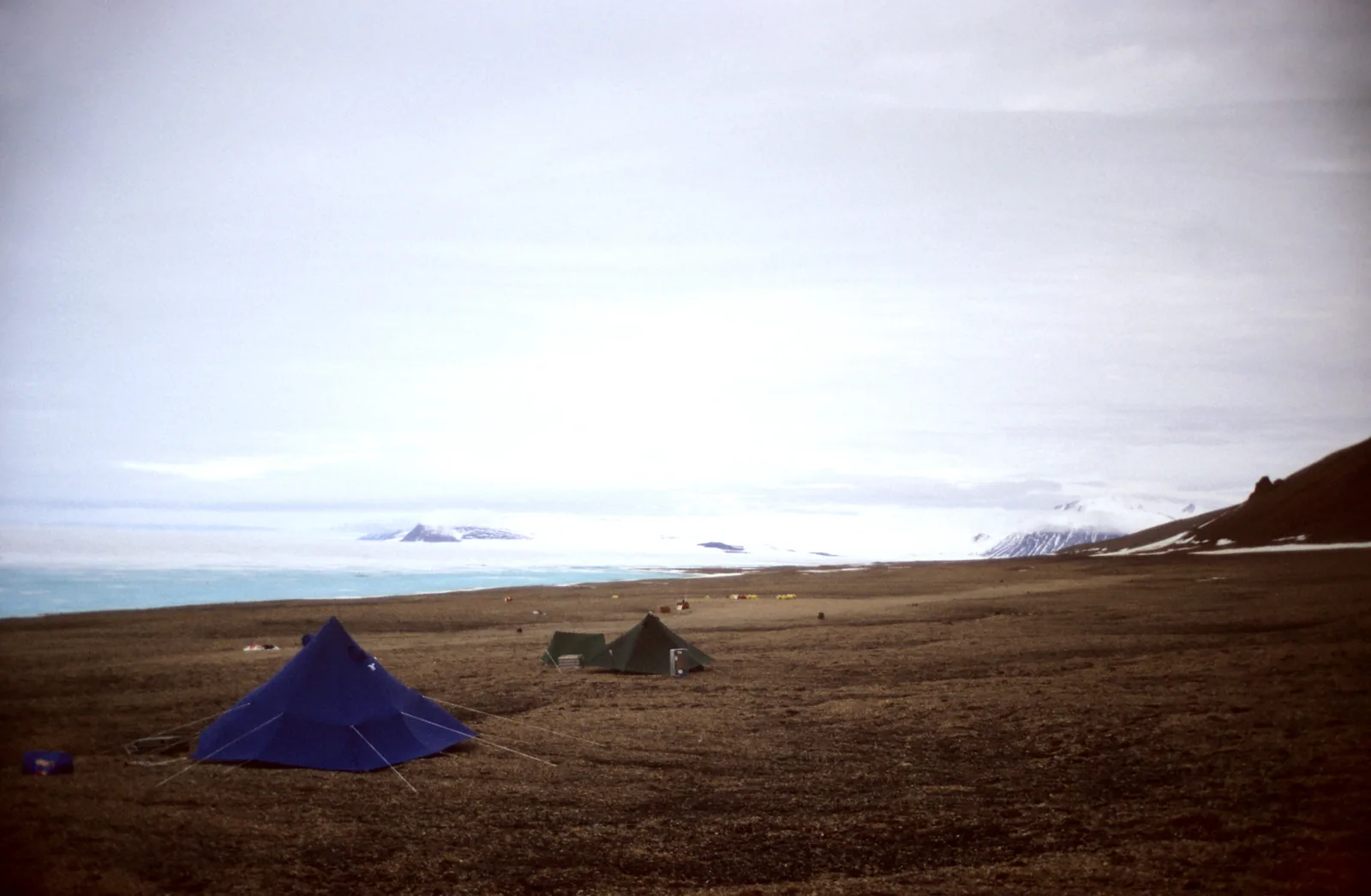 Two tents of a field camp in Quttinirpaaq National Park on brown tundra, the white expanse of the ice shelf and distant mountains behind
