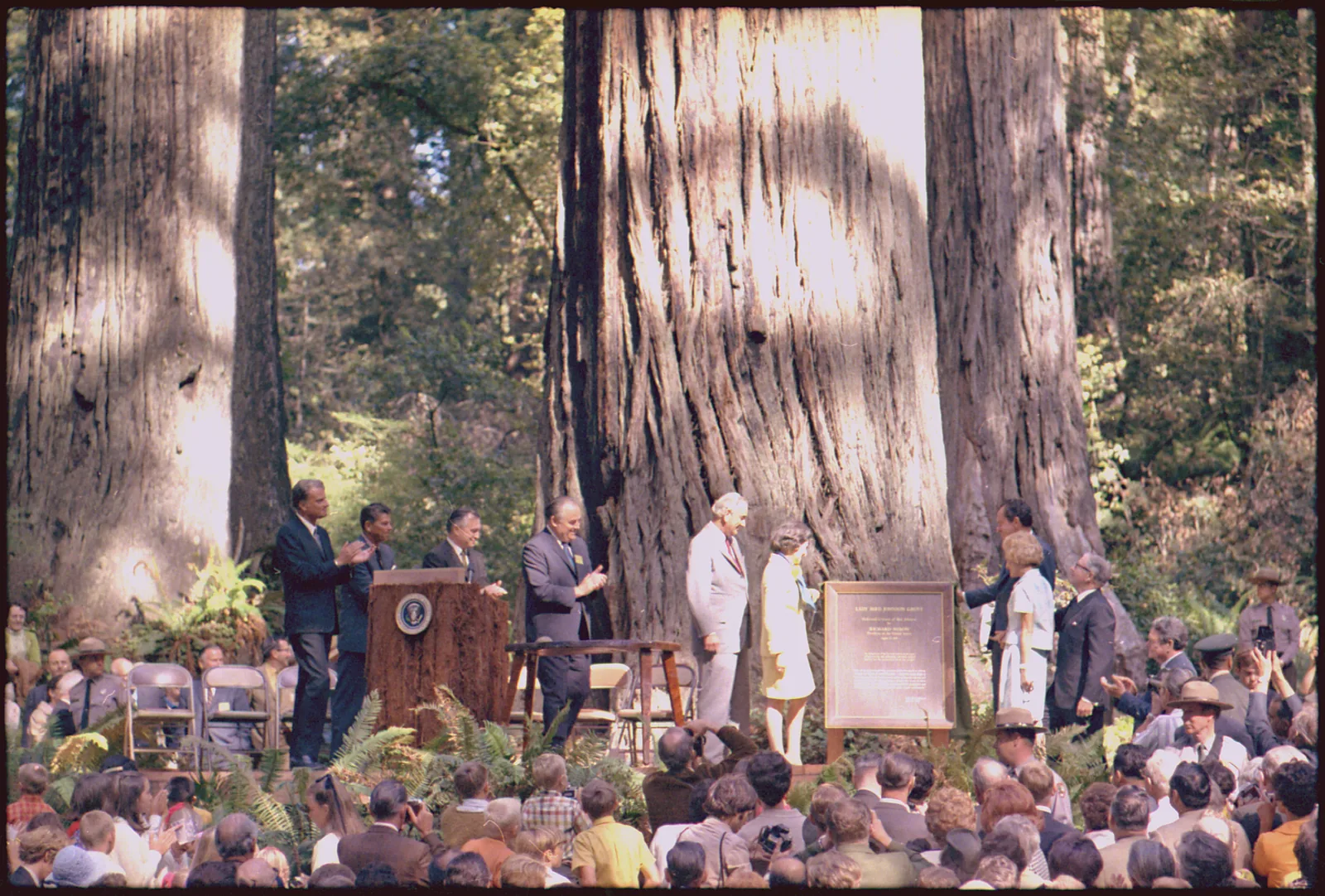 Historic colour photograph of a ceremony in the redwood forest of Redwood National Park: men in suits on a small stage in front of a memorial plaque, a tightly packed seated audience among ferns in front