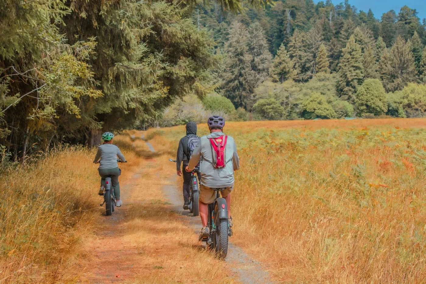 Offer photo: E-bike tour from Lost Man Creek to Big Tree