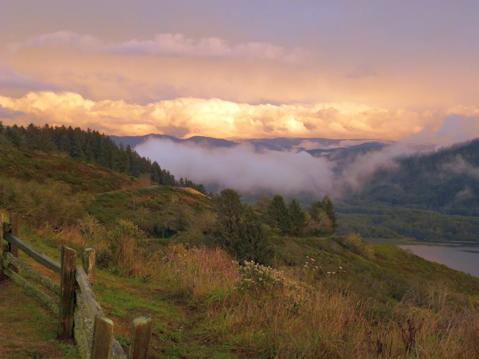 View from a viewpoint in Redwood National Park with a wooden railing over forested hills, a solid bank of fog in their valleys, evening-coloured clouds above