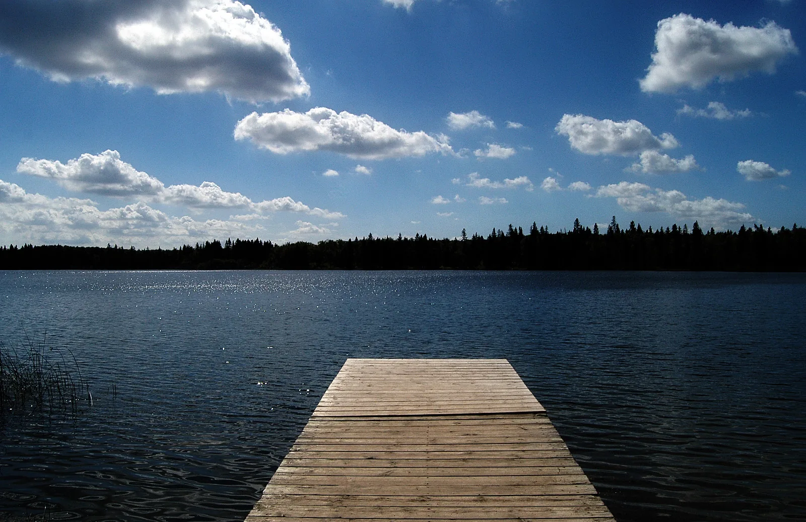 A wooden pier leads out into Clear Lake near Wasagaming in Riding Mountain National Park, a dark forest edge on the far shore under a high cloudy sky