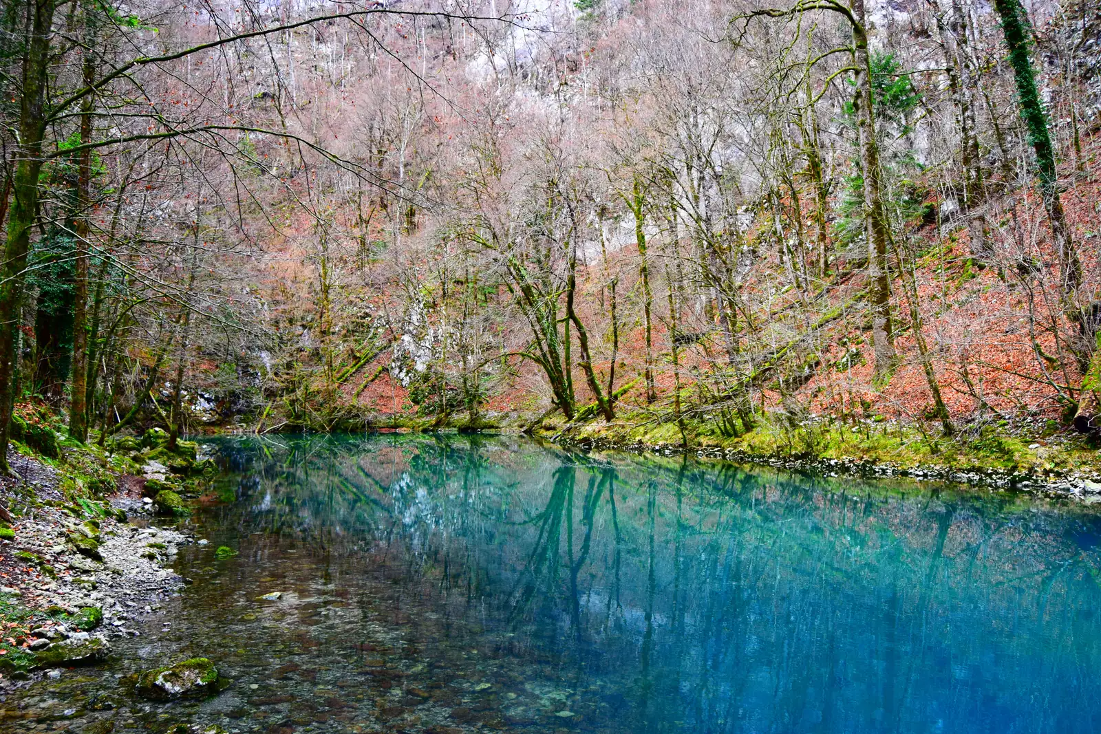 The turquoise source of the Kupa in the winter forest of Risnjak National Park