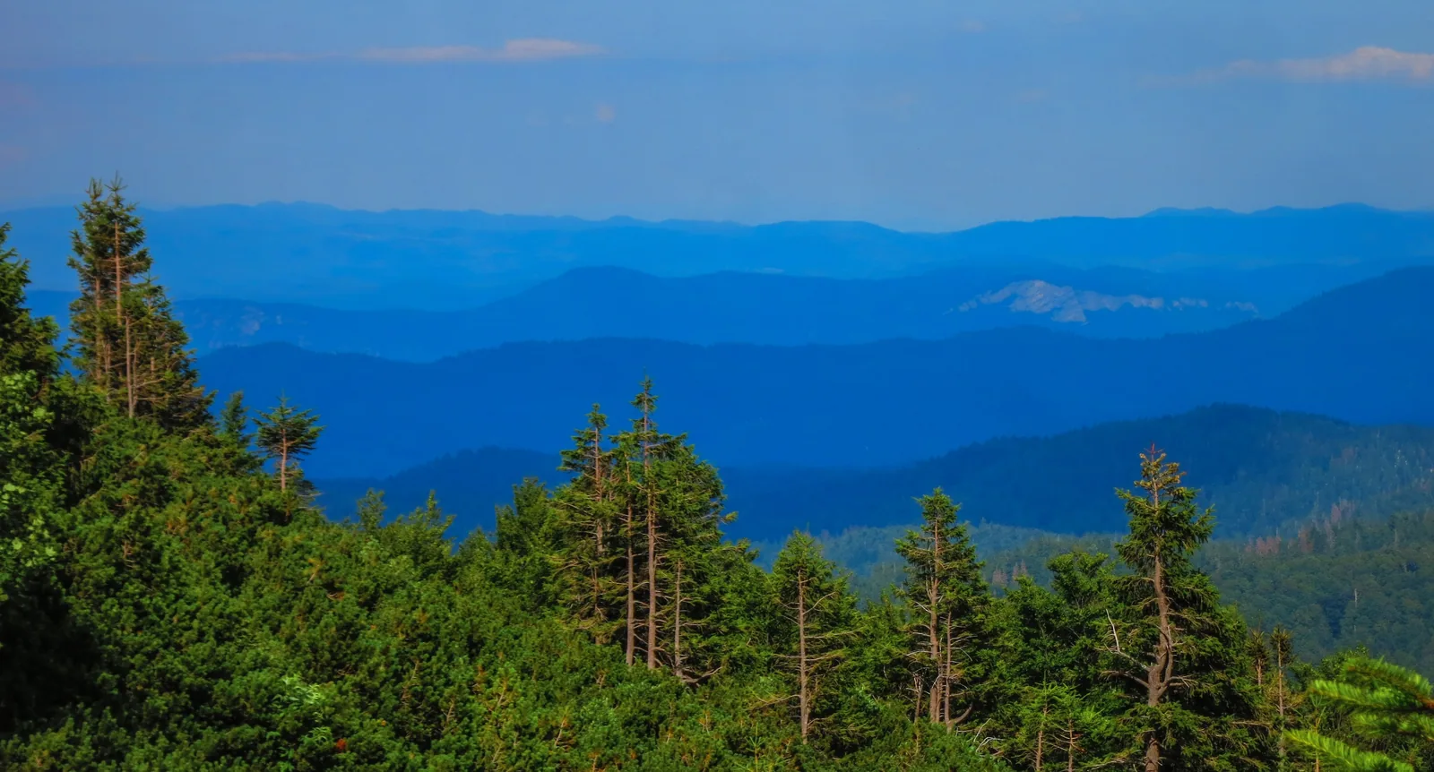 Layers of blue mountain ridges in Risnjak National Park, seen from the summit area of Veliki Risnjak