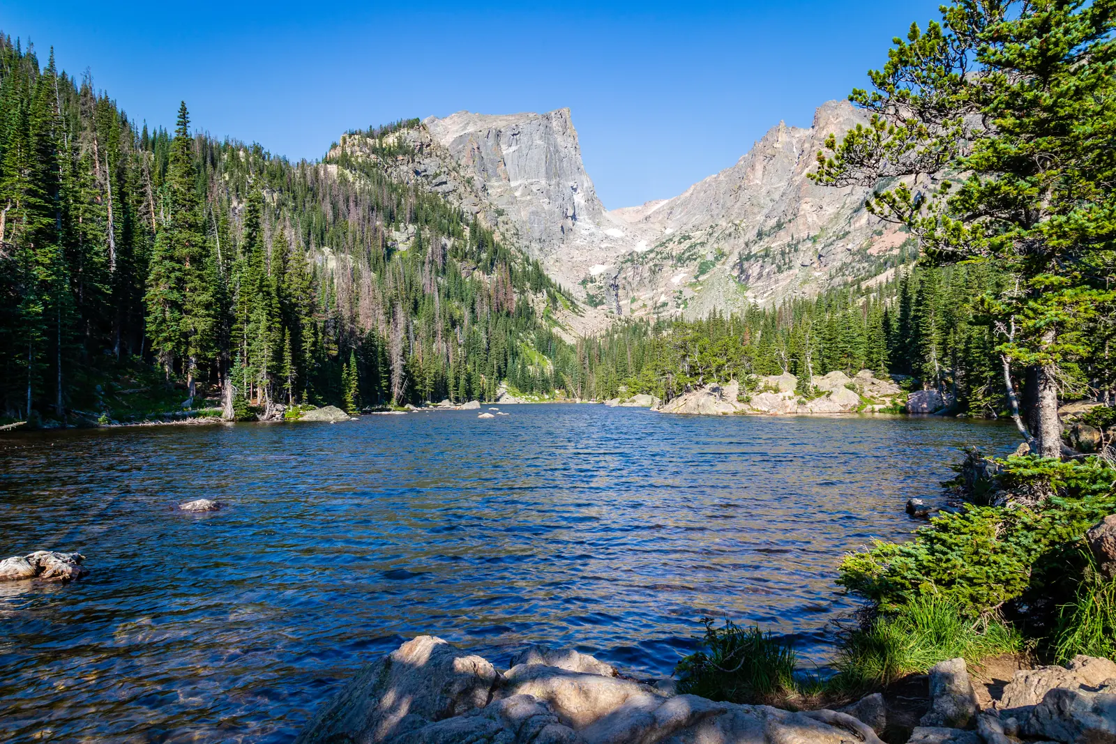 A clear mountain lake in Rocky Mountain National Park between conifers, behind it a pale, stepped granite wall rising steeply from the forest