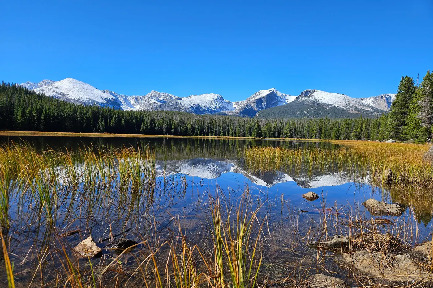 Offer photo: Rocky Mountain National Park: half-day guided hike from Estes Park