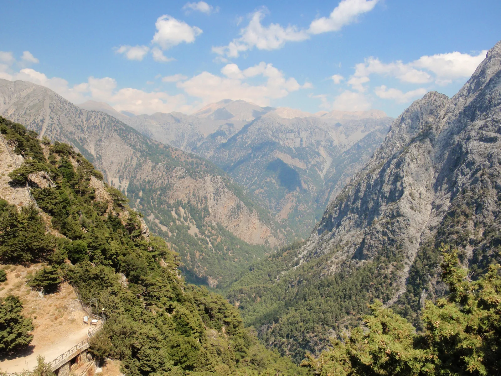 Looking down into the Samaria Gorge on Crete: forested slopes drop steeply between the peaks of the White Mountains