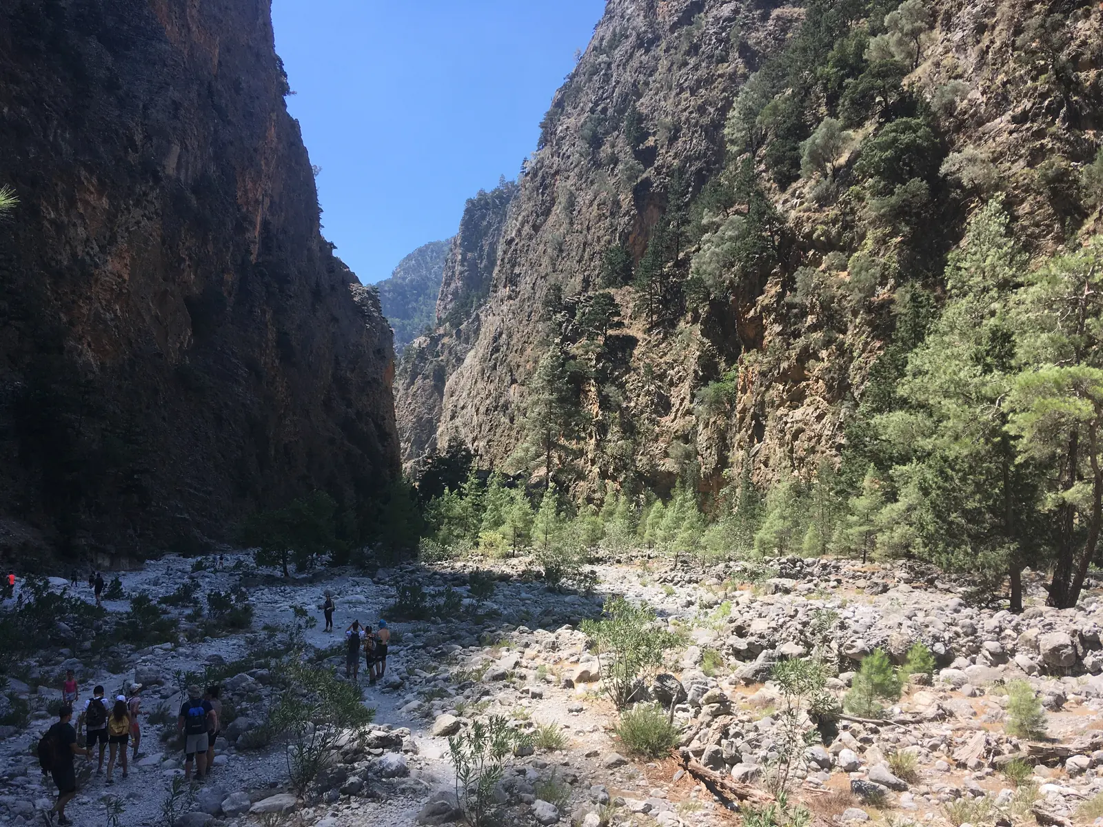 Hikers in the wide riverbed of the Samaria Gorge between high rock walls and pines in July
