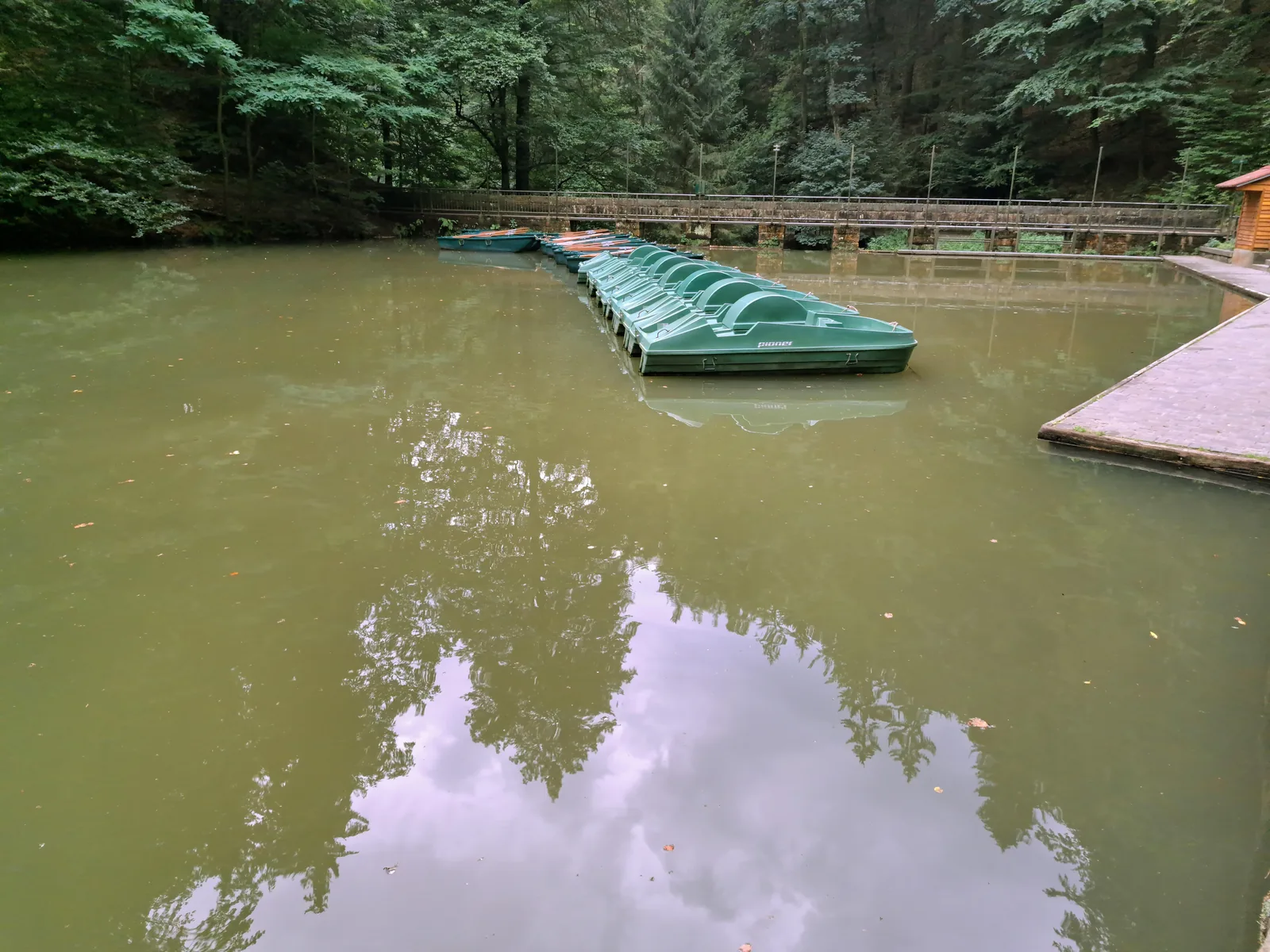 Jetty with pedal boats on Lake Amselsee
