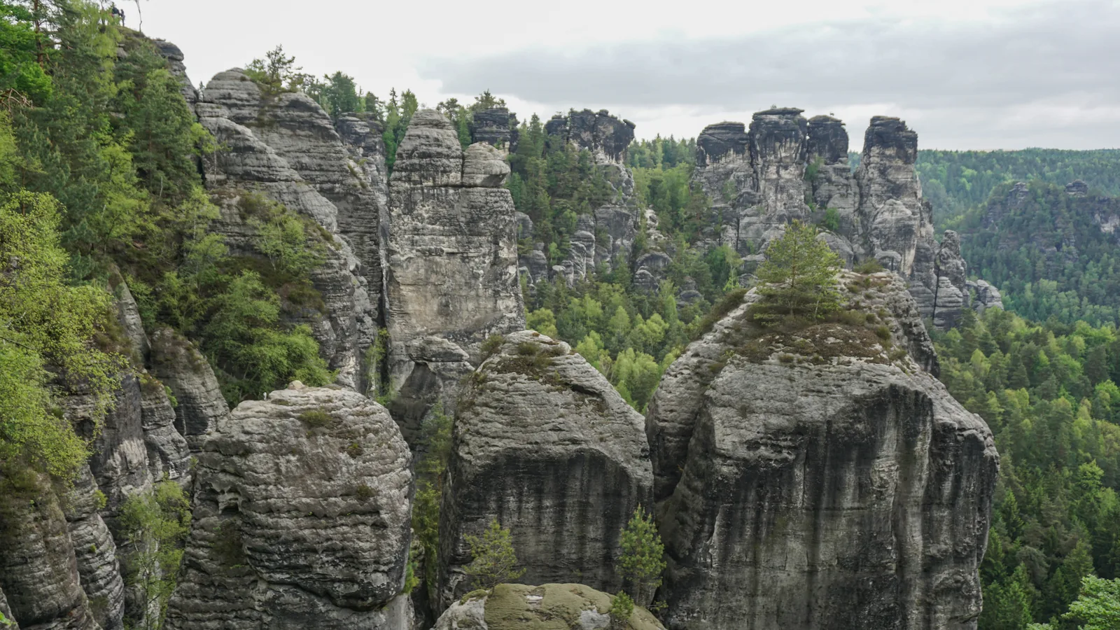 View from the Bastei in Saxon Switzerland National Park over the rock towers of the Elbe Sandstone Mountains