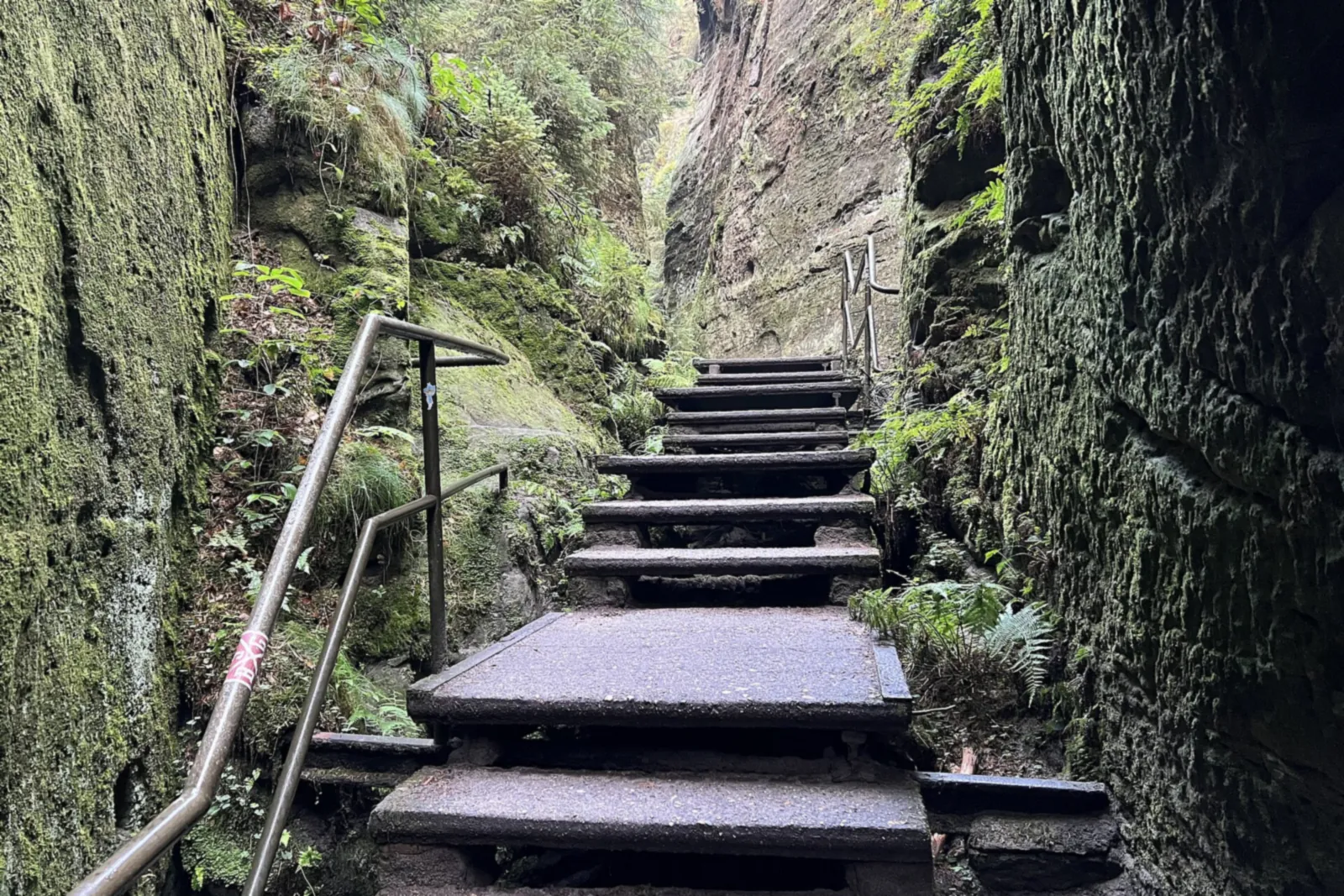 Stone steps with a handrail lead through a narrow, moss-covered sandstone gorge in Saxon Switzerland National Park