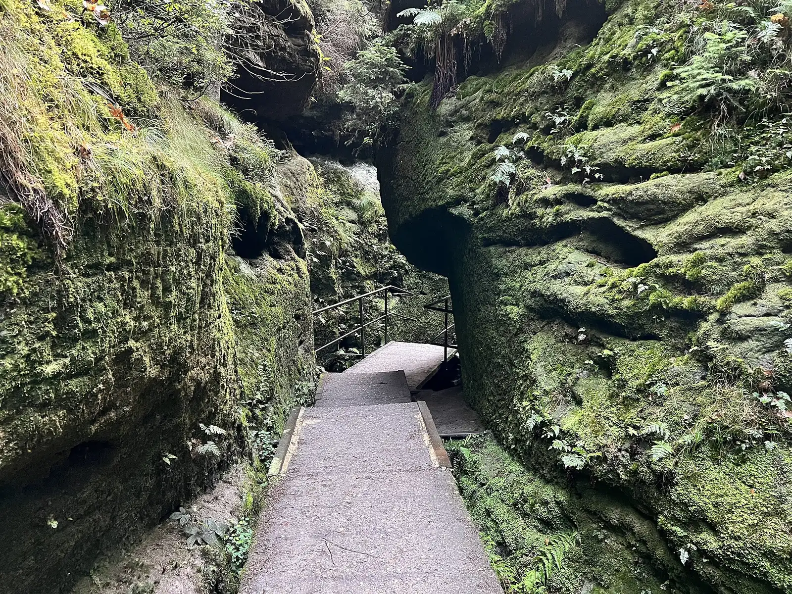 Stone path between high, mossy sandstone walls in the Schwedenlöcher gorge in Saxon Switzerland National Park