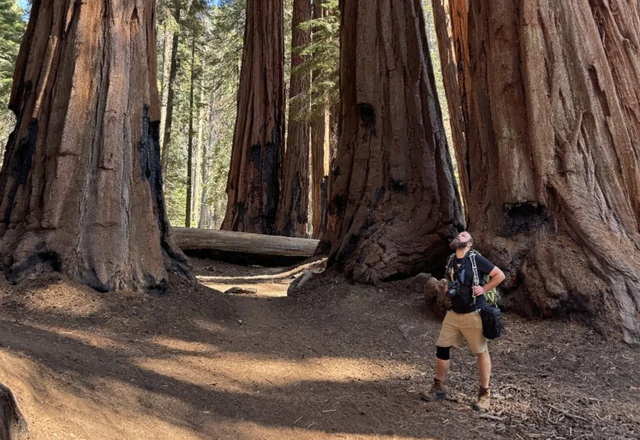 Offer photo: Guided walk to the General Sherman Tree and along the Congress Trail