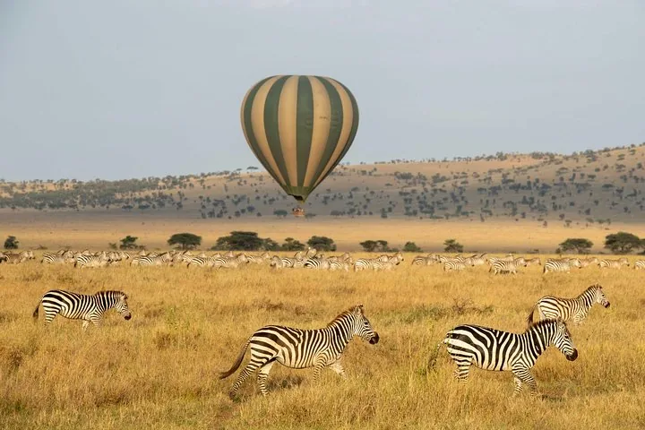 Offer photo: Sunrise balloon safari with bush breakfast